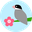 すぎ