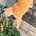 maru_maru3
