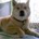 yoshiro_m