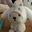 もち