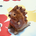 kot_14