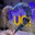 u4_cloud