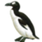 hi_saito