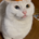 がじまる