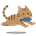 fuuki