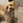 nishiyama__m