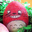 ShogoAsakura
