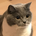 ai_nakagawa