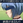 senpuuinu
