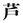 youichi ashida