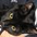 cute_na_cat