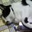 といず@