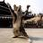 GARP_IdentifyMe
