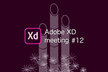 Adobe XD meeting #12