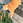 maru_maru3