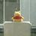 toshis_