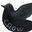 Crow314