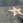 americandream62
