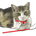 okzkey