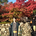 ShunHoriuchi