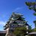 r_otake0818