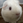 いもいもくん