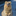 3110foobar