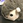 うにまくら