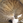 nyankotaro
