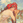 yugo