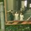 daiki_t128