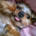 nishi_t