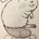 ホンです