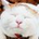 うじじす