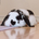 taku_sid