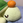 すぎうり