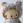 KUMA_HINA