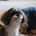 masato.n