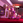 asari_112121