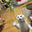 サム