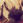 i_tomo