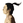 Kentaro Hayashi