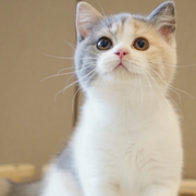 Tina
