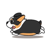 かみだい