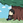 shinnoki