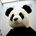 yanatch7