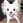 Syouhei