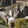 murasat_jp