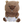 kengo_ayata