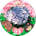 Kurukuru_Harari